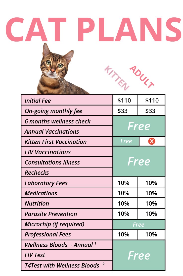 Vital Pet Care Plans | Karingal Veterinary Hospital