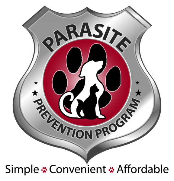 Pet Parasite Prevention Melbourne Karingal Vet Hospital