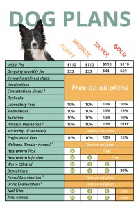 wellness plan, dog health, pet surgical care Frankston, pet hospital care Frankston, pet dental care Frankston, vet care Frankston