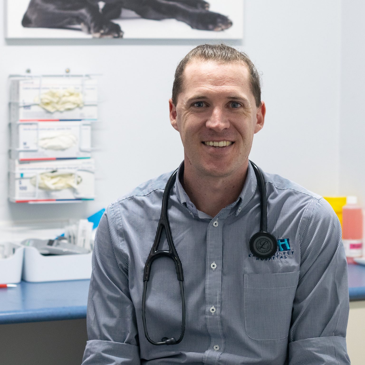 Dr Ben Roney | Karingal Veterinary Hospital